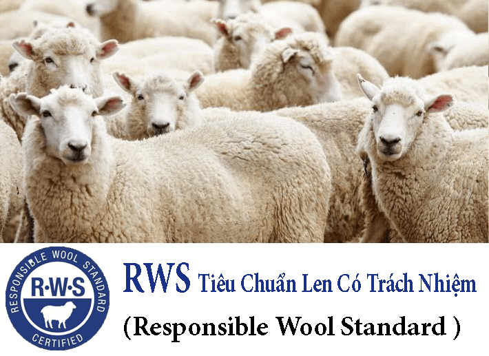 Chứng nhận RWS – Responsible Wool Standard – Tiêu chuẩn về len có trách nhiệm – TƯ VẤN ISO